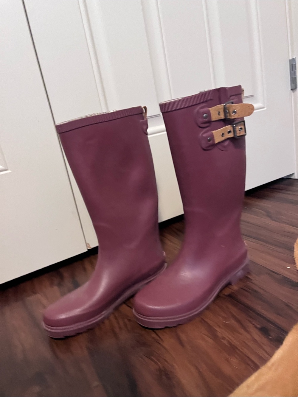 chooka Women's Tall Rain Boots in Plum with Tan Buckles